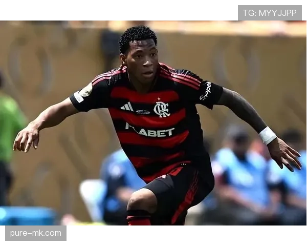 美洲杯最佳球员揭晓，新星闪耀绿茵场开启职业生涯新篇章