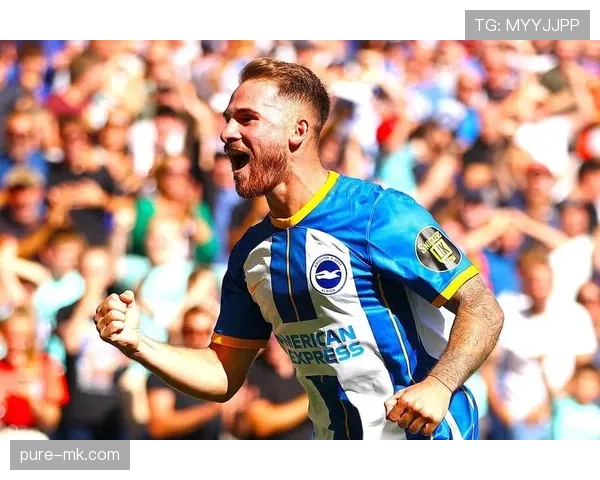 邓克领衔布莱顿英超表现稳健，团队实力引关注