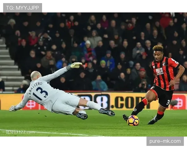 白鸽军团迎来新星加盟，英超赛季竞争力增强值得关注