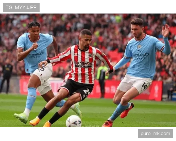 英超2025赛季谢菲尔德联状态回暖竞争力增强